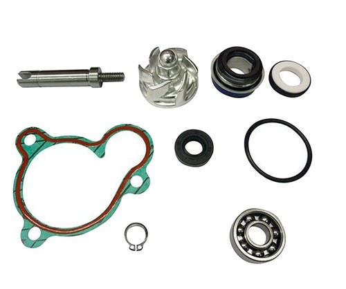 Aa00833 kit revisione pompa - revisione,
